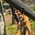 Fiona Crocker Golden's profile image