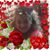 Diane Reif's profile image