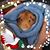 Robin Haywood's profile image