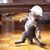 Michael Taray's profile image
