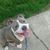 Shay Detert's profile image