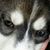 Lynn Beck's profile image