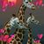 Barbara Nemeth's profile image