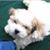 Karen Puchnick's profile image