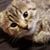 Crystal Ebbert's profile image