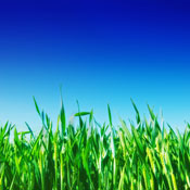 Zupco Z.'s profile image