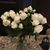 Vicki Taylor LaFave's profile image