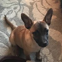 Ruth Lantz's profile image