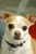 Stephanie N.'s profile image