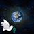 Kelly Mo Hamel's profile image
