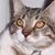 Linda Toby's profile image