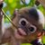 Robin-Denis Adams's profile image