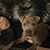 Debbie Tidwell's profile image