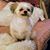 Sybil Henderson Munson's profile image