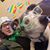 Tony Kahelin's profile image