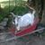 Michelle Smith Brannan's profile image