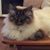 Margaret Snell's profile image