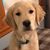 Donna Thompson's profile image