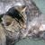 Amber Eslick's profile image