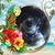 Karen Sorensen's profile image