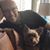 Brian Spitzer's profile image