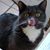 Sharon Fargus's profile image