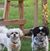 Susan Taylor's profile image