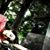 Samantha Rohaus's profile image