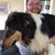 Chris Ciccolella's profile image