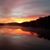Lori Uddstrom McBurney's profile image