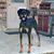 Shelly McCulloch Etheridge's profile image