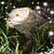 Erin Brunette Mineau's profile image