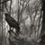 April Crow-Spaulding's profile image