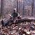 Christian Chatellier's profile image