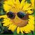 Susie Andrews's profile image