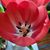 Sherilyn A. Milko Herron's profile image