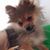 Vinnie Mackison's profile image