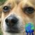 Kalani Tribe's profile image