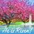 Christy Maynard's profile image