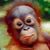 John Price's profile image