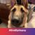 Nicole A. Nagle's profile image