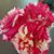 Judy Orbine Turner's profile image