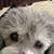 Debbie Klucserits's profile image