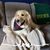Ilene Wilkens's profile image