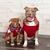 Terri Anderson's profile image