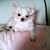 Susan Todd Barbour's profile image