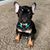 Kelli Yost's profile image