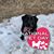 Kellie Bush Mullin's profile image