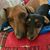 Stella N Tom Perry's profile image