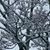 Gina Maria Littlebird's profile image
